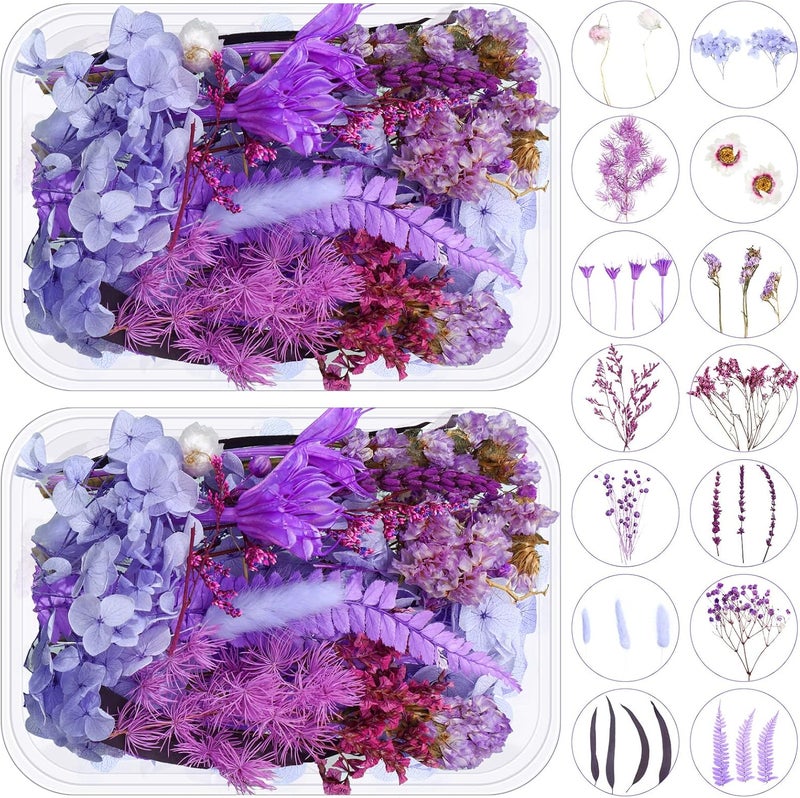 Woanger 2 Boxes Dried Purple Flowers Dried Flowers for Resin Crafts Real Natural Leaves Petals Pressed Flowers 13 Types Dried Flowers for DIY Candle Nails Making Jewelry Scrapbooking Soap Wedding Home Decor - Image 1