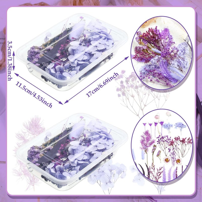 Woanger 2 Boxes Dried Purple Flowers Dried Flowers for Resin Crafts Real Natural Leaves Petals Pressed Flowers 13 Types Dried Flowers for DIY Candle Nails Making Jewelry Scrapbooking Soap Wedding Home Decor - Image 3
