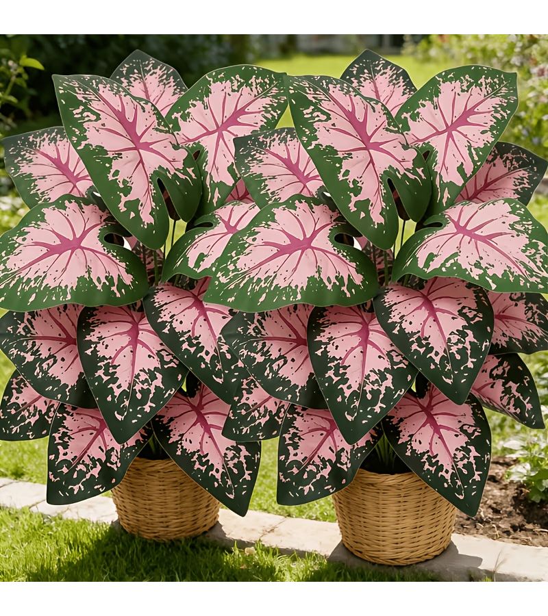 Two Large Artificial Pink Pothos Plants Get Well Soon Realistic Tropical Greenery No Maintenance Required Perfect For Indoor Outdoor Garden Yard Lawn Balcony Decoration - Image 4