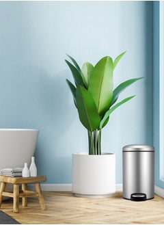 EKO EKO Soft Close S/S Step bin brushed fingerprint proof finish 12 Liter  - Image 1