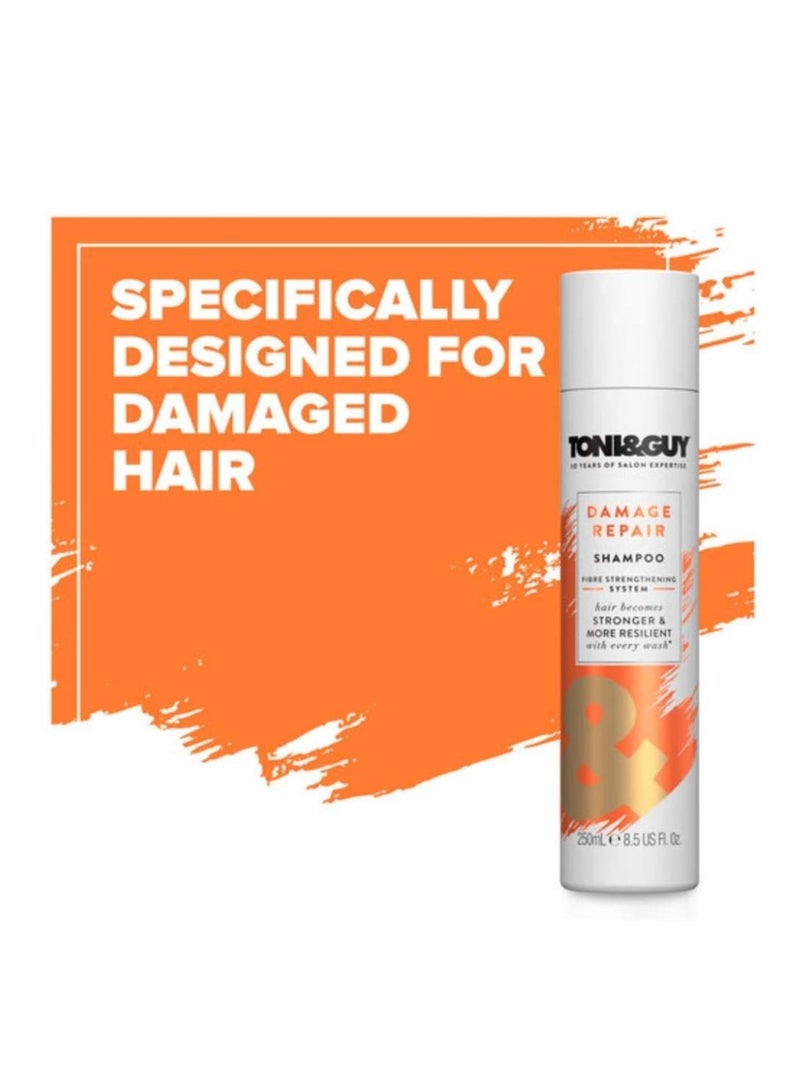 Toni & Guy TONI and GUY Cleanse Shampoo for Damaged Hair 250ml - Image 3