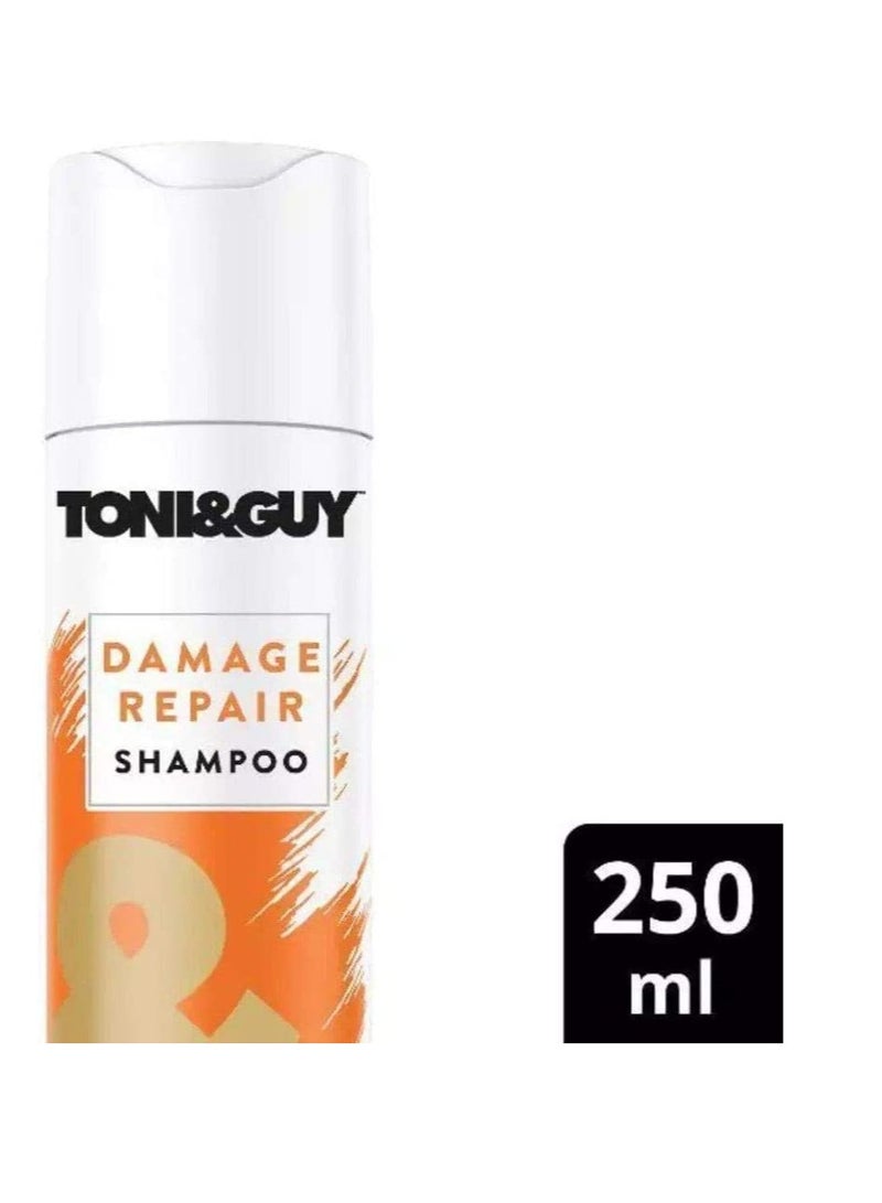 Toni & Guy TONI and GUY Cleanse Shampoo for Damaged Hair 250ml - Image 2