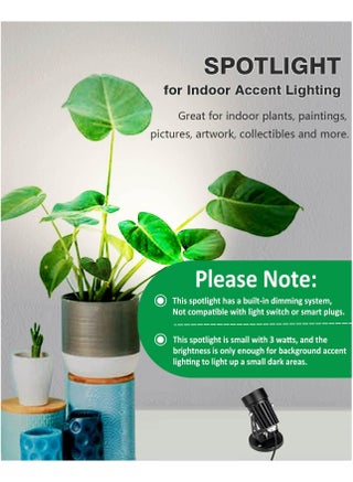 where can i buy cheap indoor plants Easy Care Variety Bundle