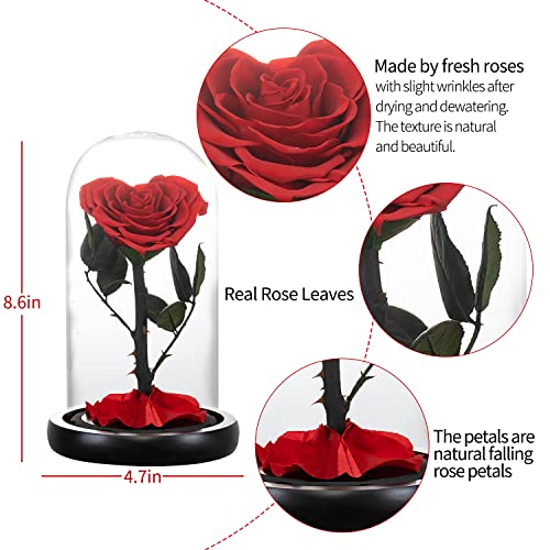 AINYROSE Forever Preserved Real Rose Birthday Gifts for Women,Valentines Gift Eternal Flower in Glass for Valentine's Day Mothers Day Christmas Anniversary Birthday (red) - Image 5