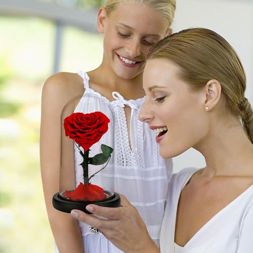 AINYROSE Forever Preserved Real Rose Birthday Gifts for Women,Valentines Gift Eternal Flower in Glass for Valentine's Day Mothers Day Christmas Anniversary Birthday (red) - Image 3