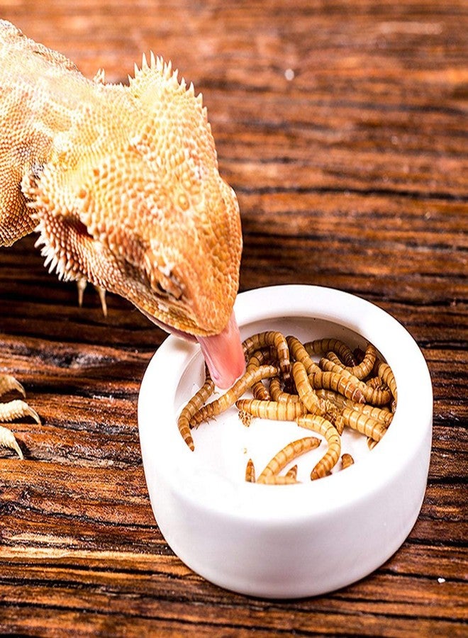 كريت آيديا مجموعة أطباق ديدان الزواحف من كريت آيديا، قطعتان، حافة منحنية، مقاومة للماء، مصنوعة من السيراميك، مثالية لتهريب السحالي، مقاس 2.8 بوصة، لون أبيض ناعم عديم الطعم، مناسبة للعناكب، الوزغ، والسرطانات. - Image 2