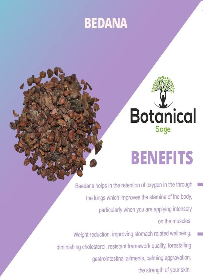 Botanical Sage بذور المريمية النباتية - بيدانا ٥٠ غرام | بذور بيدانا | بيروس سيدونيا | بذور السفرجل | بيدانا - Image 4