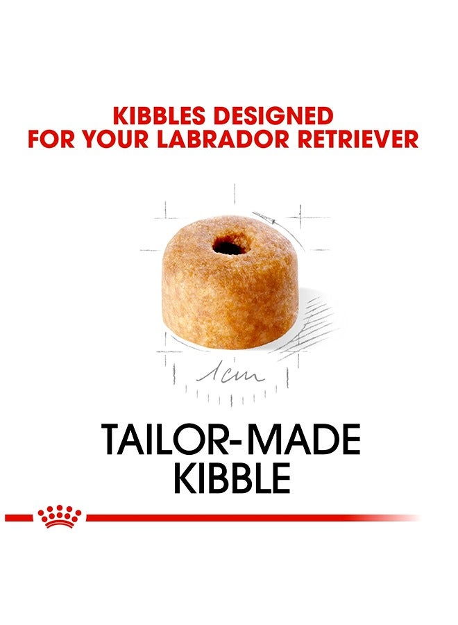 رويال كانين جرو لابرادور ريتريفر - 3 كجم - Image 4