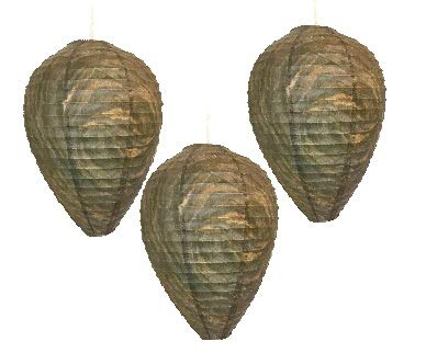 Patio Eden - Wasp Nest Decoy - 3 Pack- Eco Friendly Hanging Wasp Repellent - Image 5