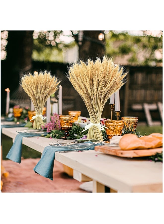 MirageBotanics 100~300 Stems 45cm Dried Wheat Flowers - Natural Ear of Wheat Grain Flowers - DIY Arrangements for Wedding, Store Decorative Autumn Wreath,Office, Home Decoration - Image 5