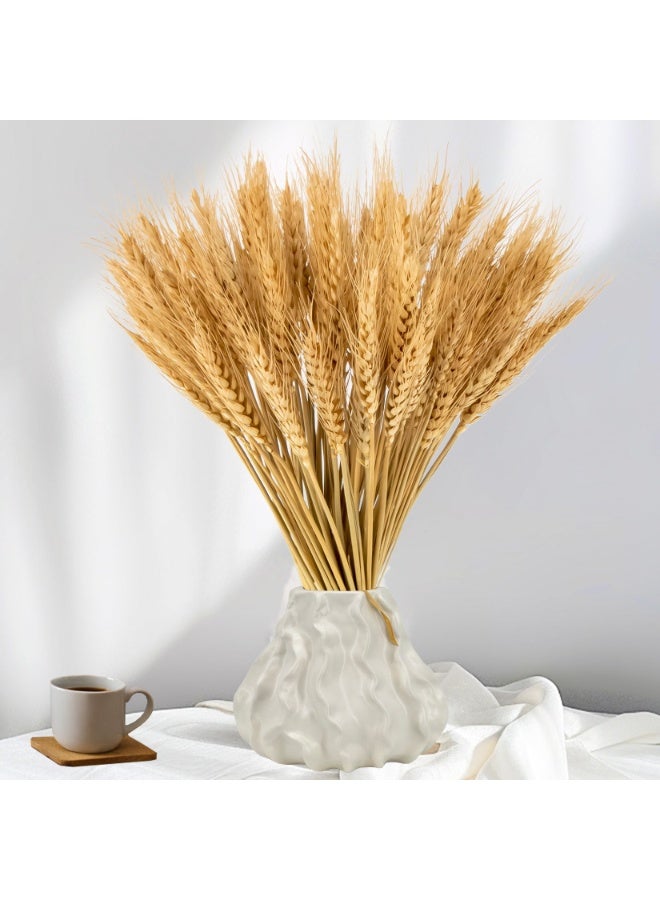 MirageBotanics 100~300 Stems 45cm Dried Wheat Flowers - Natural Ear of Wheat Grain Flowers - DIY Arrangements for Wedding, Store Decorative Autumn Wreath,Office, Home Decoration - Image 1