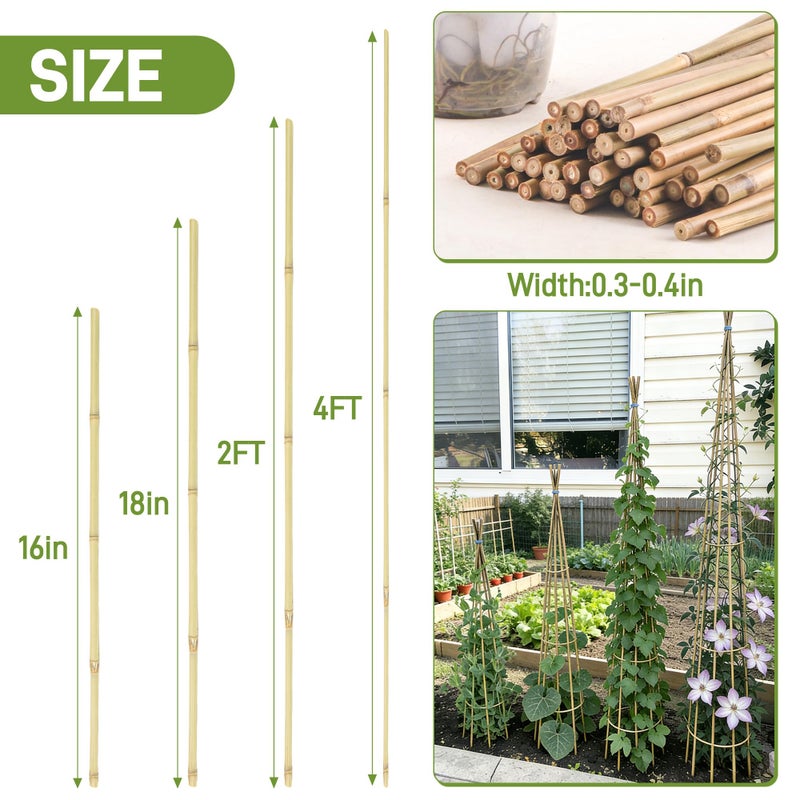 Anothera 50Pcs Garden Stakes, 0.32â€/16 Inch Bamboo Sticksï¼ŒNatural Plant Stakes for Indoor and Outdoor Plantsï¼ŒPoles for Tomatoes, Beans, Potted Plants - Image 2