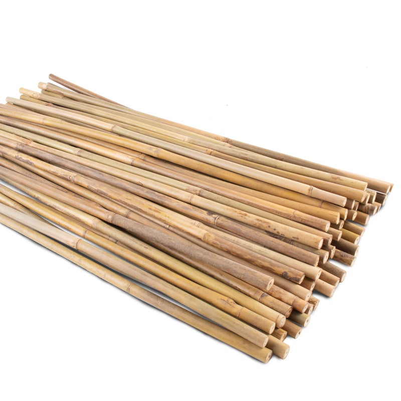 Anothera 50Pcs Garden Stakes, 0.32â€/16 Inch Bamboo Sticksï¼ŒNatural Plant Stakes for Indoor and Outdoor Plantsï¼ŒPoles for Tomatoes, Beans, Potted Plants - Image 1