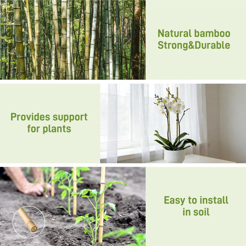 Anothera 50Pcs Garden Stakes, 0.32â€/16 Inch Bamboo Sticksï¼ŒNatural Plant Stakes for Indoor and Outdoor Plantsï¼ŒPoles for Tomatoes, Beans, Potted Plants - Image 3