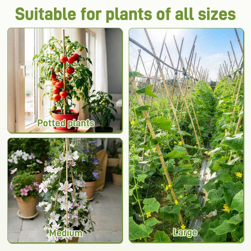 Anothera 50Pcs Garden Stakes, 0.32â€/16 Inch Bamboo Sticksï¼ŒNatural Plant Stakes for Indoor and Outdoor Plantsï¼ŒPoles for Tomatoes, Beans, Potted Plants - Image 5