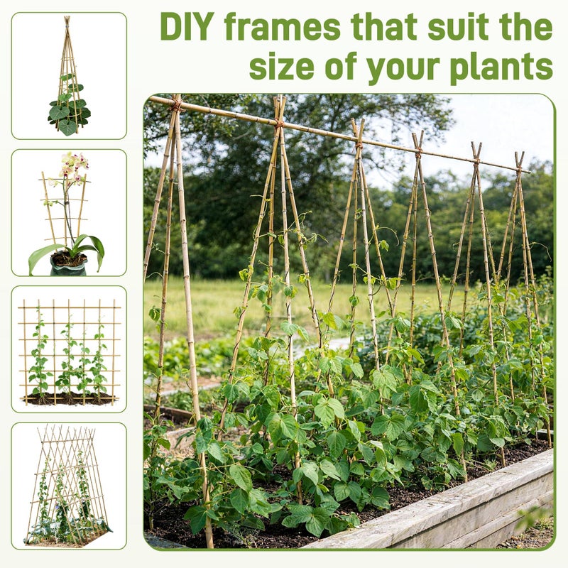 Anothera 50Pcs Garden Stakes, 0.32â€/16 Inch Bamboo Sticksï¼ŒNatural Plant Stakes for Indoor and Outdoor Plantsï¼ŒPoles for Tomatoes, Beans, Potted Plants - Image 4