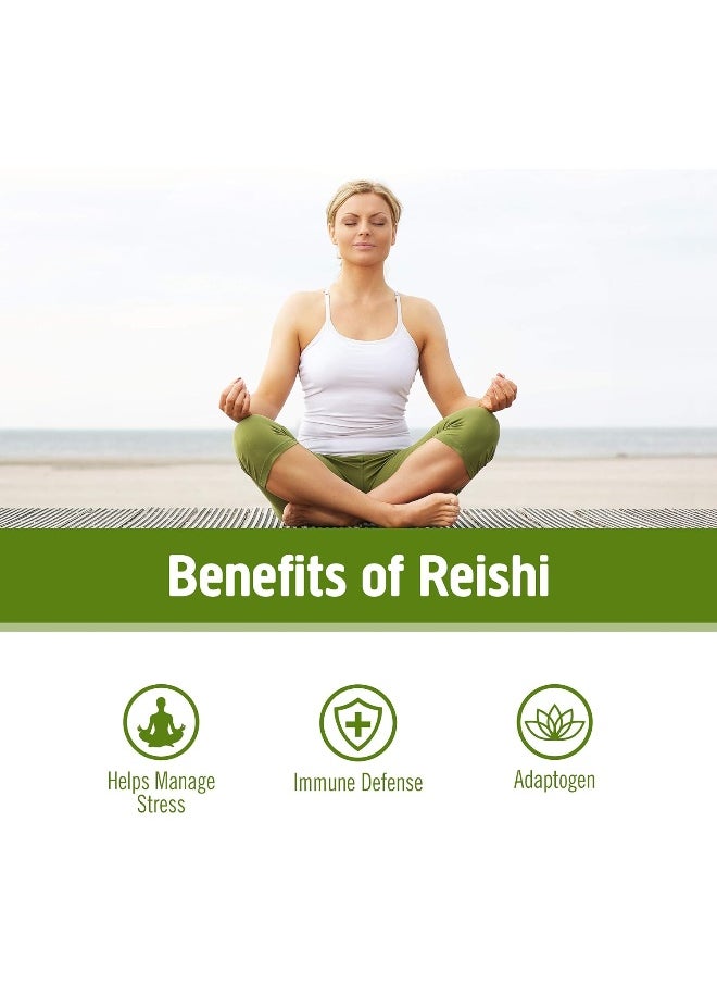 OM - Mushroom Superfood Om Reishi Organic Mushroom Powder 100G - Image 1
