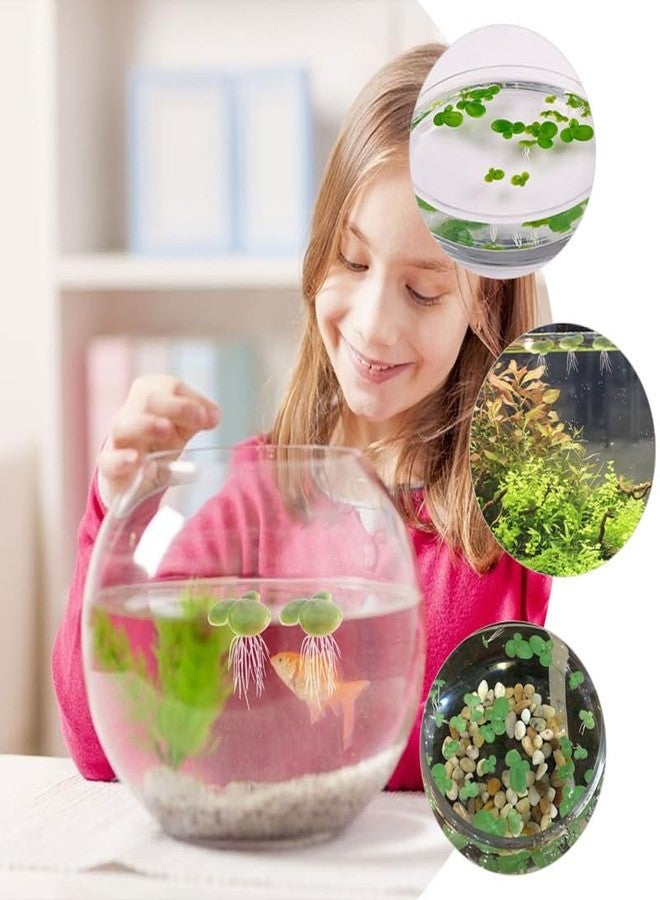 أموسفون مجموعة نباتات عدس الماء الاصطناعية من أموسفن، 54 قطعة، نباتات عائمة صغيرة خضراء فاتحة لتزيين أحواض السمك، مقاس 1.57 × 1.57 × 3.54 بوصة - Image 5