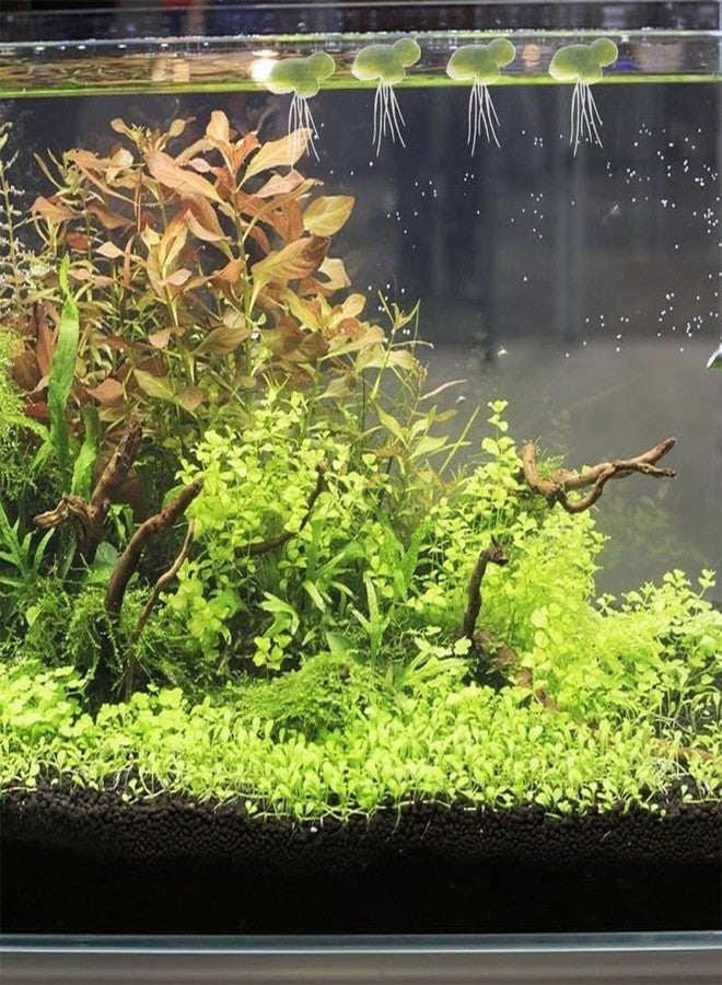 أموسفون مجموعة نباتات عدس الماء الاصطناعية من أموسفن، 54 قطعة، نباتات عائمة صغيرة خضراء فاتحة لتزيين أحواض السمك، مقاس 1.57 × 1.57 × 3.54 بوصة - Image 3