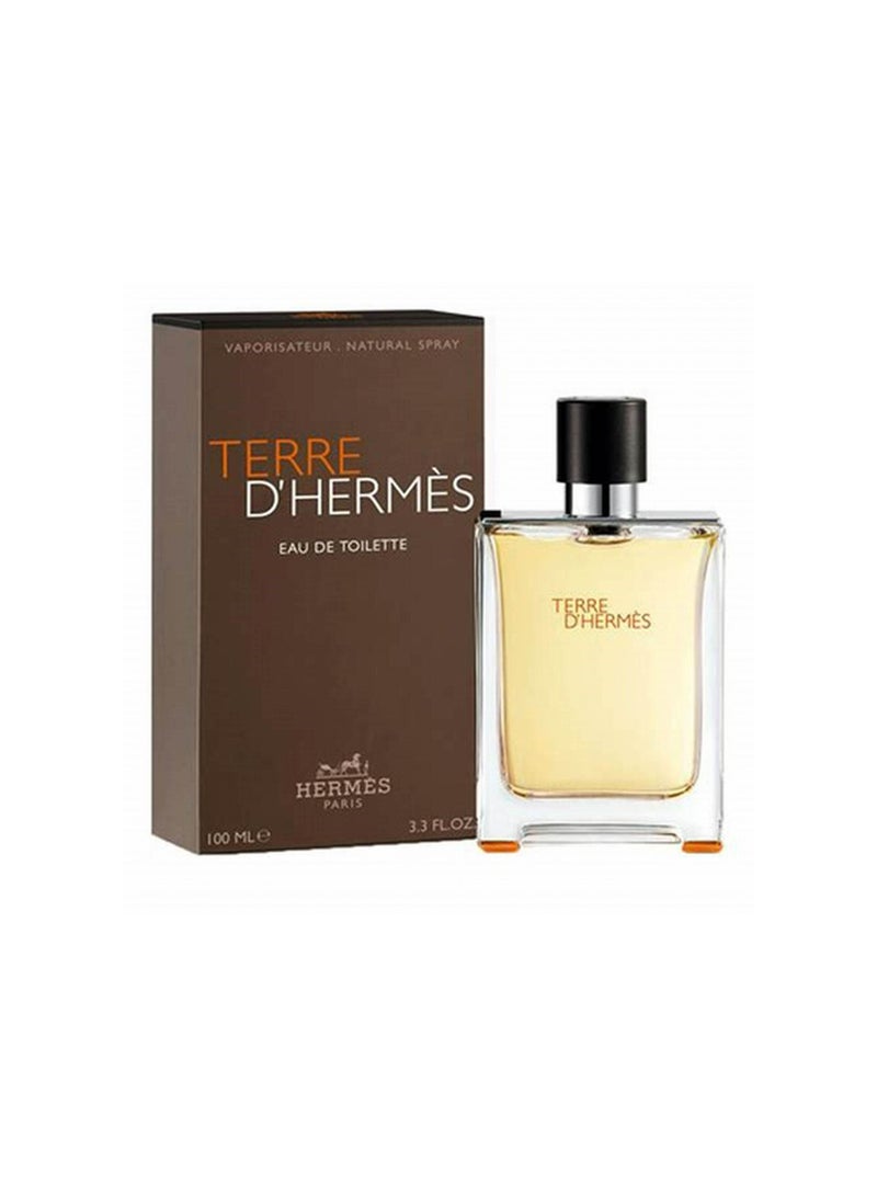 Terry Baby Terre D'Hermes EDT - Image 2
