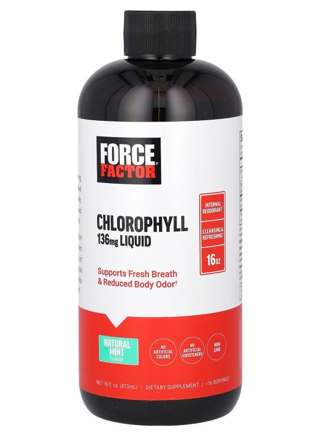 Force Factor Chlorophyll Liquid Natural Mint 136 mg 16 fl oz (473 ml) (136 mg per 2 Tbsp)