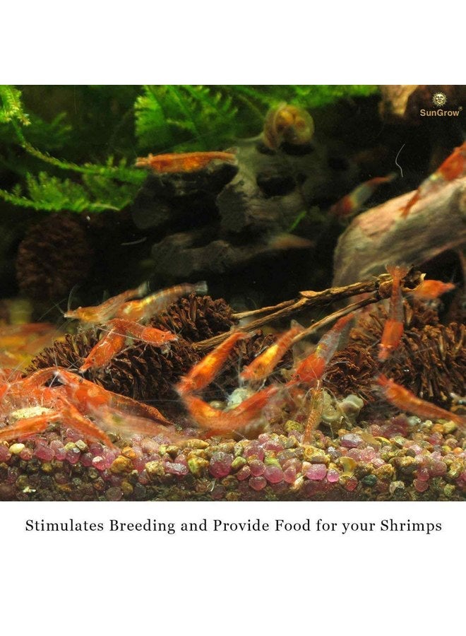 SunGrow Alder Cones for Shrimps, Water Conditioner for Freshwater Shrimp Tanks, Aquarium Decorations & Accessories (50 Pcs) - Image 3