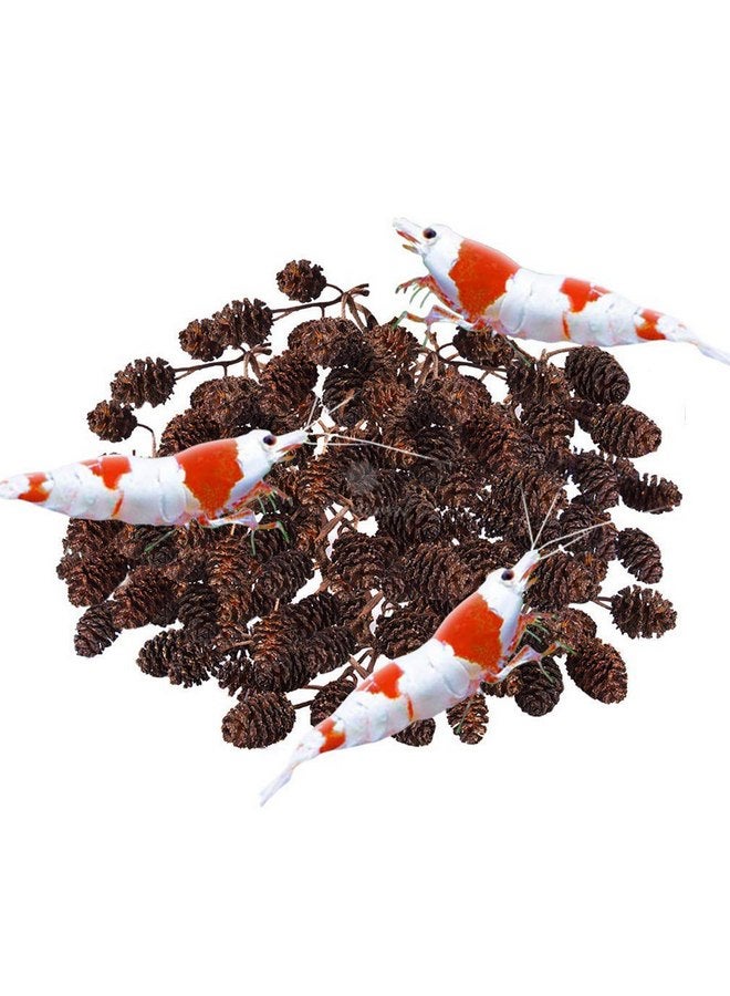 SunGrow Alder Cones for Shrimps, Water Conditioner for Freshwater Shrimp Tanks, Aquarium Decorations & Accessories (50 Pcs) - Image 1