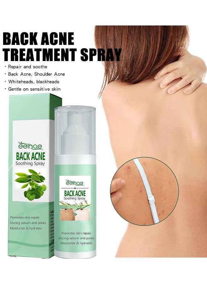 EELHOE 120ML Back Acne Treatment Soothing Spay, Back Acne Spray, Niacinamide Spray, Body Acne Treatment with Herbal Formula, Tea Tree Oil Spray, Body Acne Treatment Spray For Teens, Gentle On Skin  - Image 2