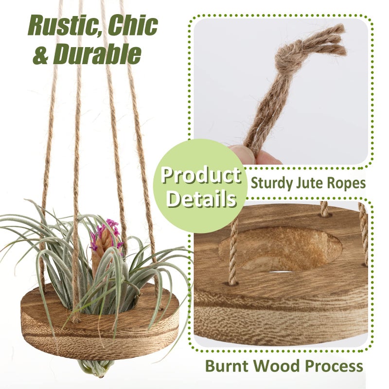 ANPHSIN 6 Pcs Hanging Wooden Air Plant Holder - 3" Round Airplants Live Hanger with Ropes, Rustic Tillandsia Succulent Display Container Stand for Home Office Decor Housewarming Gift (Excluding Plants) - Image 2