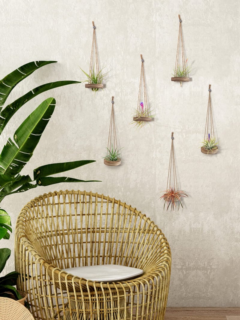 ANPHSIN 6 Pcs Hanging Wooden Air Plant Holder - 3" Round Airplants Live Hanger with Ropes, Rustic Tillandsia Succulent Display Container Stand for Home Office Decor Housewarming Gift (Excluding Plants) - Image 5