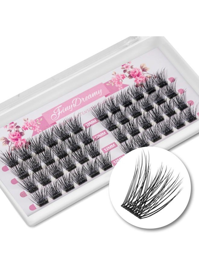 FinyDreamy 48Pcs Lash Clusters 3D Volume Effect Individual Lashes Clusters D Curl Cluster Lashes DIY Eyelash Cluster Extension At Home Reusable And Wispy Real Looking (Volume-12mm) - Image 1
