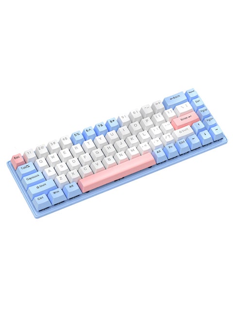 65% Wired RGB Gaming Keyboard, 68 Keys Blue Switch Hot-Swappable Compact Mechanical Keyboard for PC/Computer-Blue/Pink