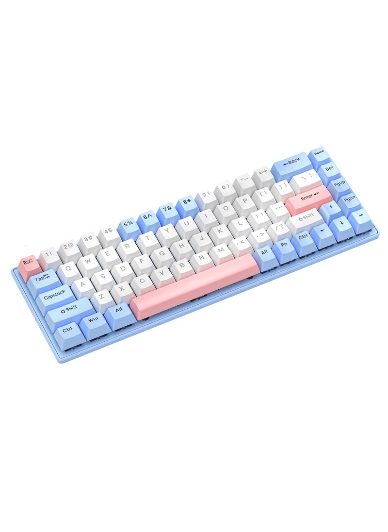 Flash Hawk - 65% Wired RGB Gaming Keyboard, 68 Keys Blue Switch Hot-Swappable Compact Mechanical Keyboard for PC/Computer-Blue/Pink - Image 1