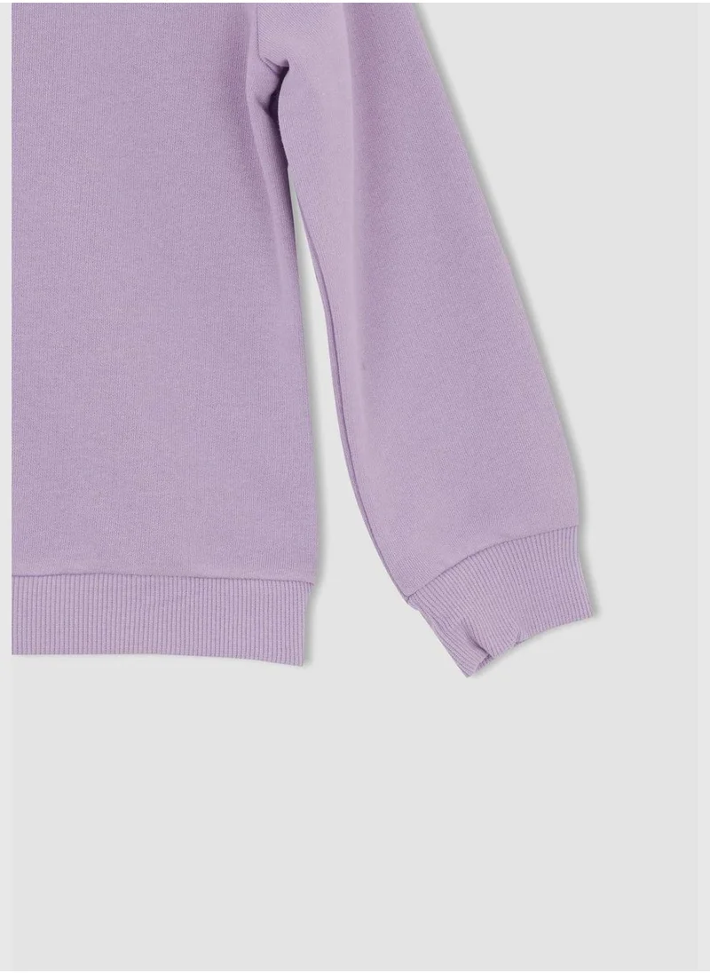 DeFacto Long Sleeve Crew Neck Sweater