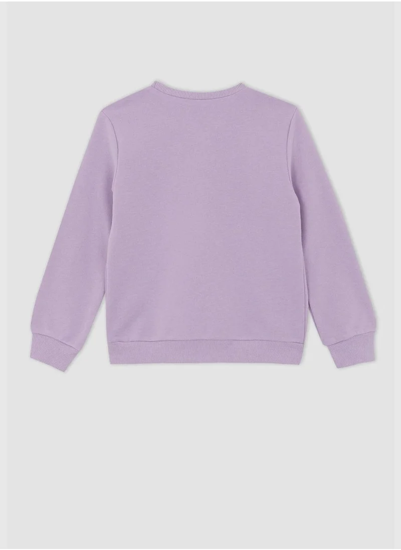 DeFacto Long Sleeve Crew Neck Sweater