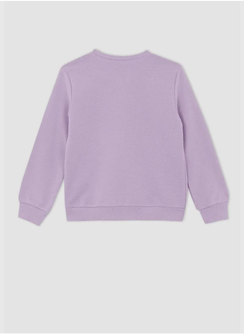 DeFacto Long Sleeve Crew Neck Sweater
