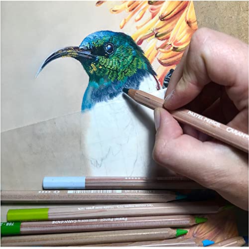 Caran d'Ache Caran d Ache Pastel Pencil - Chinese White - Image 2