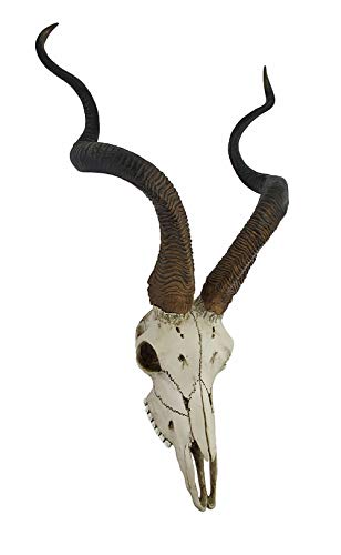 Veronese Design African Kudu Antelope Skull Wall Hanging Cool Twisted Horns - Image 2