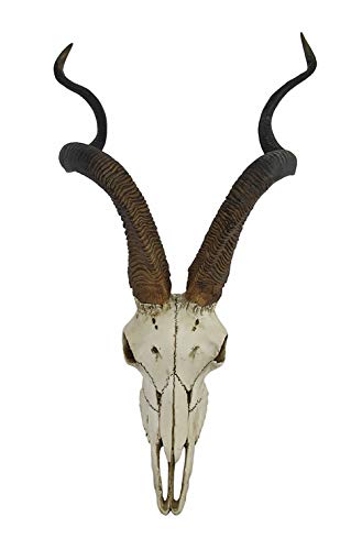 Veronese Design African Kudu Antelope Skull Wall Hanging Cool Twisted Horns - Image 1