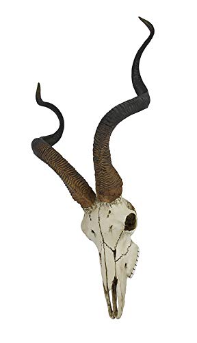 Veronese Design African Kudu Antelope Skull Wall Hanging Cool Twisted Horns - Image 3