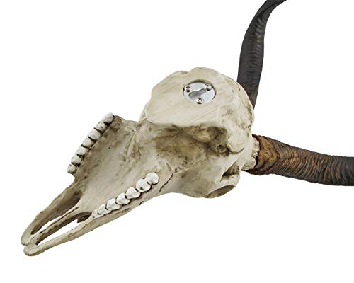 Veronese Design African Kudu Antelope Skull Wall Hanging Cool Twisted Horns - Image 4