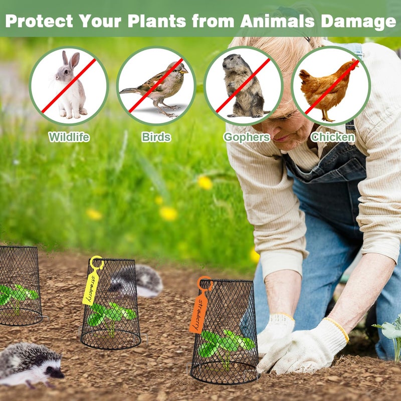 Doksving 10 Pcs 6.8"Ã—7.4" (Multiple Sizes/Quantities Available) Seedling Plant Protectors from Animals, Chicken Wire Plant Cage Garden Cloche to Protect Plants Vegetables from Rabbits Squirrels Chicken - Image 4