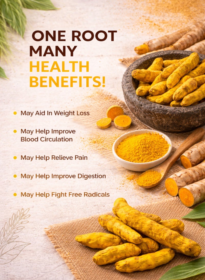 زهر جذور الكركم الكاملة (الكركم المجفف) - كركم لونغا | جذور كركم طبيعية كاملة عالية الجودة | جذور عشبية نقية 100% للاستخدام في الحدائق المنزلية والبستنة والأغراض النباتية. - Image 5