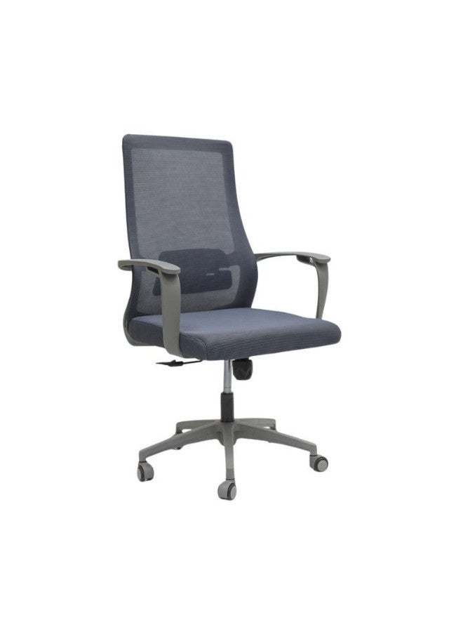 ALWASIT HOME Height-adjustable Sleek Executive Office Chairs for Laptop Computer Workstation at Home (Ultimate High Back Ergonomic Grey - Image 1
