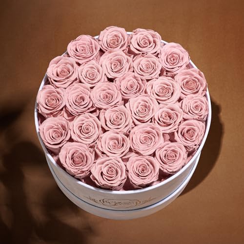 Prifroti 27 Flowers in a Luxury Suede Box, Birthday Gifts for Women, Preserved Flowers, Mothers Day Roses Gift for Mom, Dusty Rose - Image 2