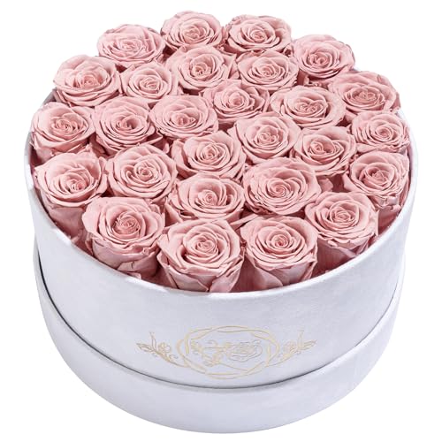 Prifroti 27 Flowers in a Luxury Suede Box, Birthday Gifts for Women, Preserved Flowers, Mothers Day Roses Gift for Mom, Dusty Rose - Image 1