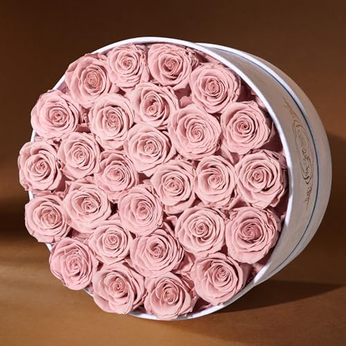 Prifroti 27 Flowers in a Luxury Suede Box, Birthday Gifts for Women, Preserved Flowers, Mothers Day Roses Gift for Mom, Dusty Rose - Image 4