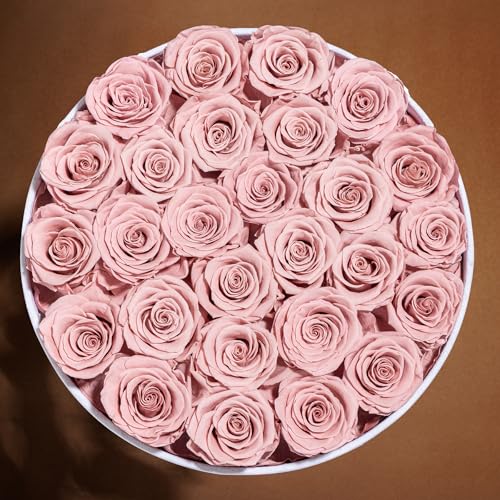 Prifroti 27 Flowers in a Luxury Suede Box, Birthday Gifts for Women, Preserved Flowers, Mothers Day Roses Gift for Mom, Dusty Rose - Image 5