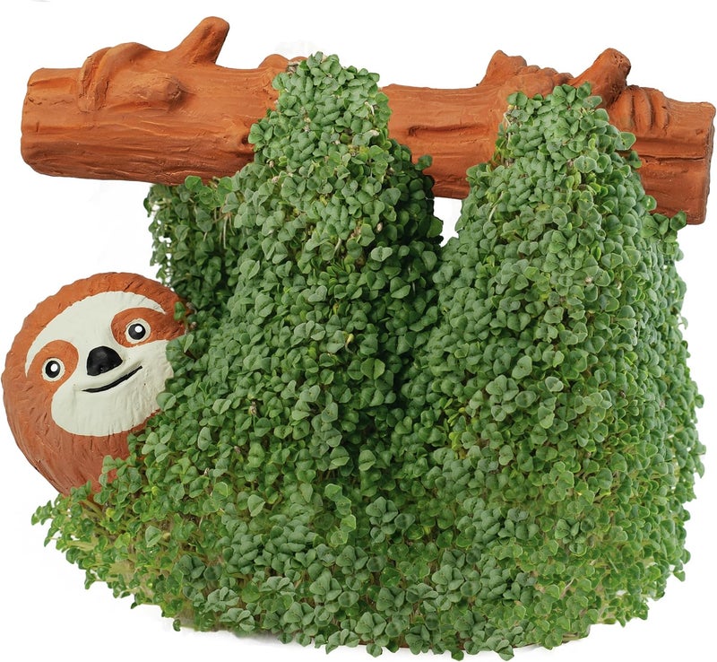 Chia Pet Sloth with Seed Pack, Decorative Pottery Planter, Easy to Do and Fun to Grow, Novelty Gift, Perfect for Any Occasion - Image 3