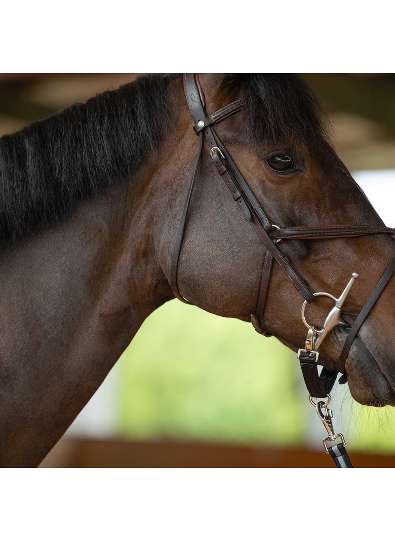 horze HORZE Lunging Strap for Horse Lunge Line  - Image 2